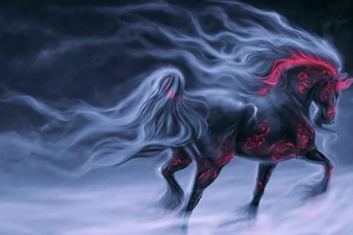 Cool Animal Wallpapers H7S   Zyprexaclassaction.com