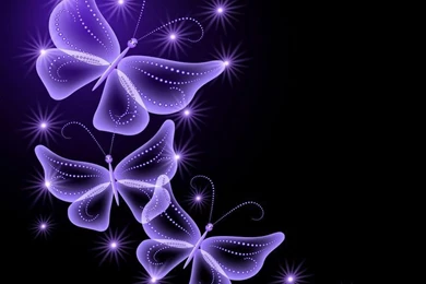 Purple Rose Backgrounds Wallpapers