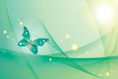 Cute Butterfly Backgrounds   Wallpapers HD Fine