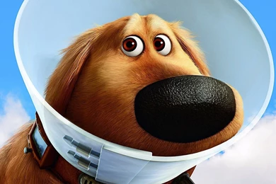 Up Cartoon Movie, Dog Wallpapers