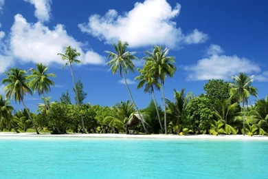 Tropical Island Wallpapers   Crazy Frankenstein