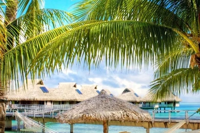 Tropical Beach Resort HD Desktop Wallpapers : High Definition ...