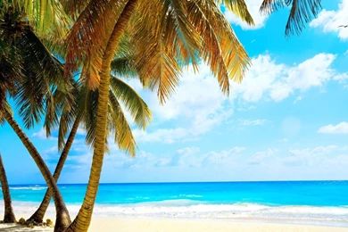 YouWall   Wonderful Tropical Beach Wallpapers   Wallpapers ...