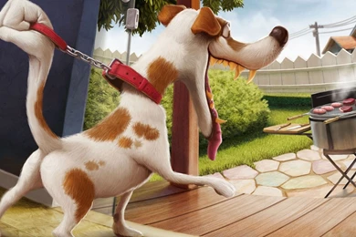 Funny Cartoon Desktop Wallpapers   High Quality   Pure Humor