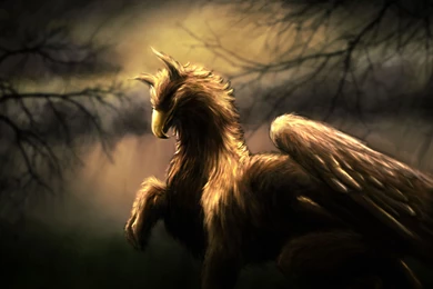 Gryphon Animal Animals Birds Bird Fantasy Creature Wallpapers ...
