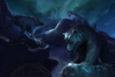 Animal Computer Wallpapers, Desktop Backgrounds