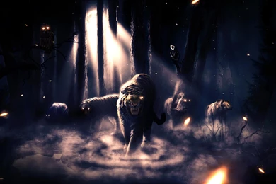 Animal Fantasy HD Desktop Wallpapers : Widescreen : High Definition ...