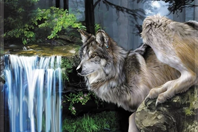 Wolf Computer Wallpapers, Desktop Backgrounds