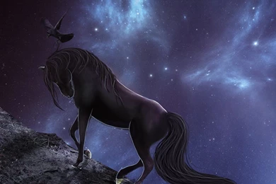 Fantasy Animal Horse Beautiful Sky Grow Wallpapers