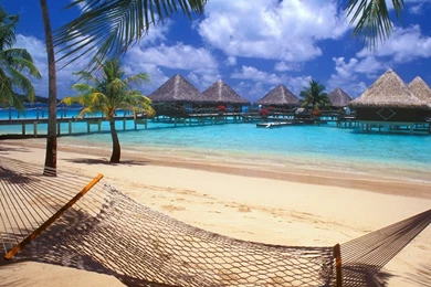 Bora Bora  Travel Wallpapers   Hd Desktop Wallpapers   O.k. U X