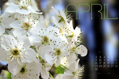Free April Wallpapers