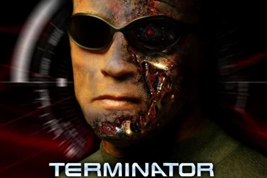 Arnold Schwarenegger Wallpapers   Arnold Schwarzenegger Wallpapers ...