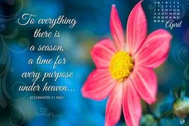 Gallery For   April Wallpapers