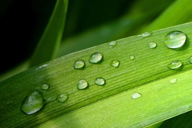 The Galaxy S III Wallpapers Blog