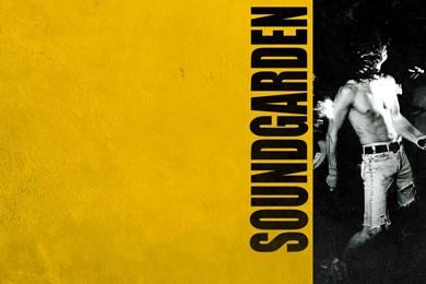 New Damage Portfolio