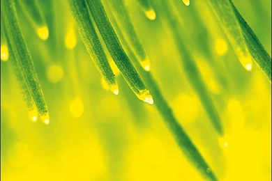 1280x1024 April Shower Desktop PC And Mac Wallpapers