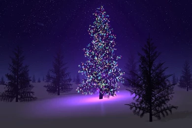 The Night Before The Night Before Christmas