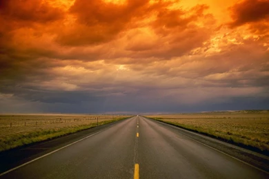 Road to Perdition.jpg