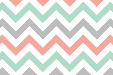 Tampa Wedding Photographer