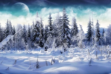 2560x1440 Winter Wonderland 2 Desktop PC And Mac Wallpapers