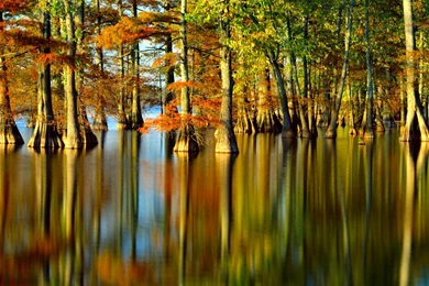 484 Scenic HD Wallpapers