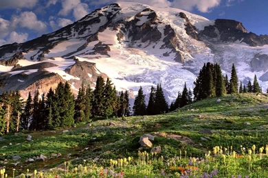 Scenery Backgrounds – Nature Desktop Wallpapers