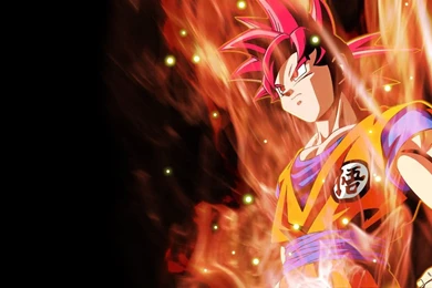 Dragon Ball Z Wallpapers Goku Super Saiyan God   HD Wallpapers Gallery