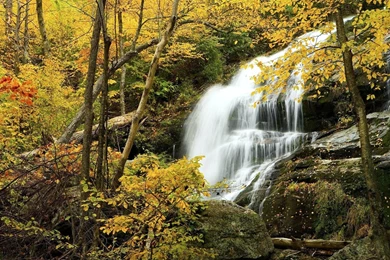 Scenery, Wallpaper, Background, Landscape (