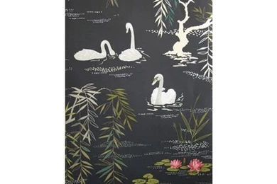 Osborne & Little Nina Campbell   Swan Lake