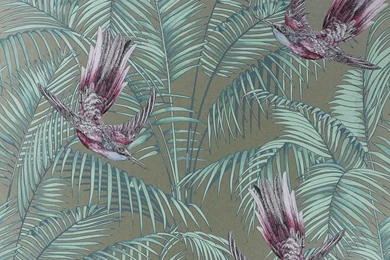 Sunbird Wallpapers By Matthew Williamson