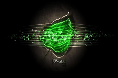 Dropkick Murphys Wallpapers 114786