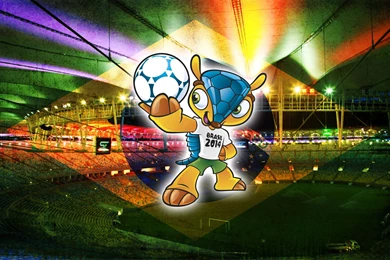 Fuleco Armadillo World Cup 2014 Brazil Mascot Exclusive HD ...