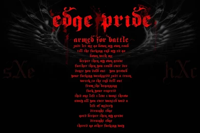Wallpapers Straight Edge Sxe And Hardcore Message Board 2235x1397 ...
