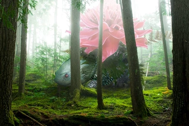 A Wild Venusaur Appears By Ikioi On DeviantArt