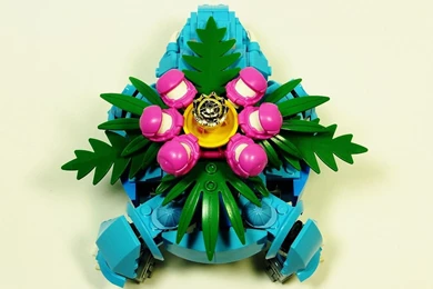 Venusaur Pokemon Wallpapers