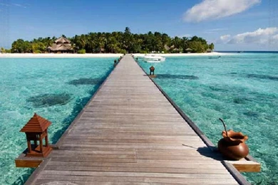 The Sea Beach Beautiful Scenery Television Backgrounds Wallpapers ...