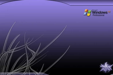 Windows Xp Black HD Wallpapers   HD Images New
