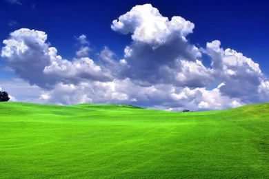 Wallpapers Win Xp Bliss Windows 1680x1050