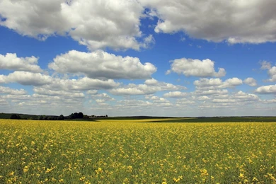 One Place Of Best Desktop HD Wallpapers   Image Wallpapers