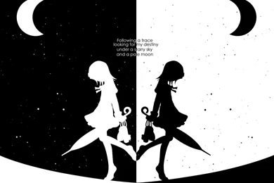 Wallpapers Anime Black And White Rukia Bleach 1280x960