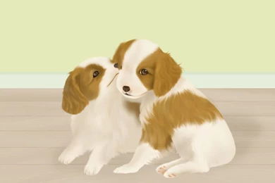 HD Illustration Painting Of Lovable Puppy Dogs 1600x1200 NO.37 ...