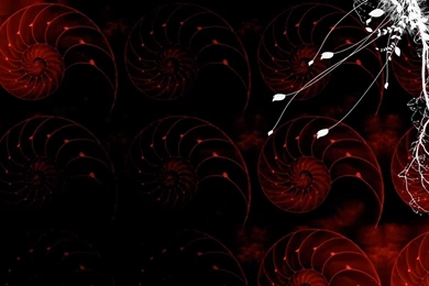 HD Wallpapers Desktop: Digital Desktop HD Wallpapers