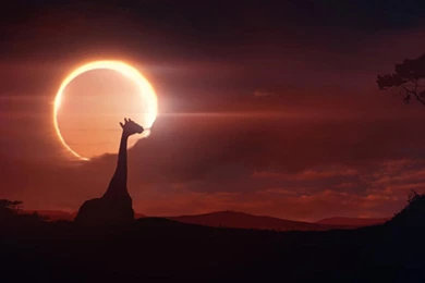 Eclipse Wallpapers Pictures