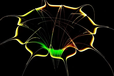 Butterfly Landed On The Orange Flower Desktop Wallpapers 28398