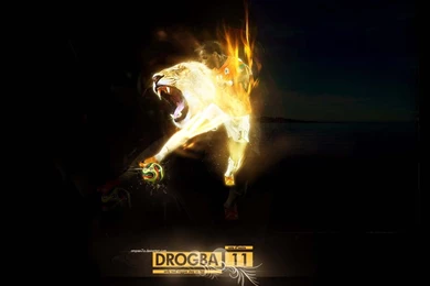 Didier Drogba Tiger Wallpapers   Football HD Wallpapers