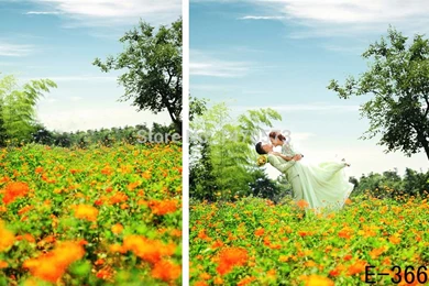 Aliexpress.com : Buy Free Digital Natural Garden Scenic Backgrounds ...