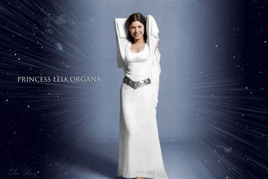 Princess Leia By Chris Alvarez On DeviantArt