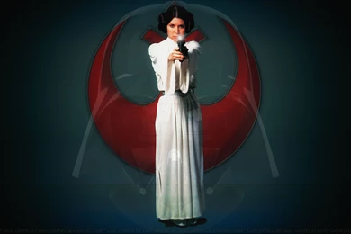 Carrie Fisher Princess Leia XXXVII By Dave Daring On DeviantArt