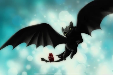 Night Fury ( Toothless ) HD Desktop Wallpapers : High Definition ...