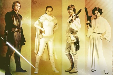 Star Wars   Anakin/Vader And Princess Leia Wallpapers (34047902 ...